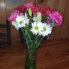 jennifer_r34821